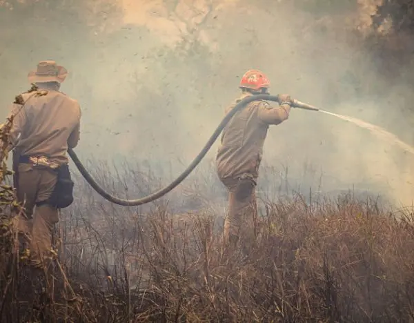 What Damages Can a Wildfire Victim Recover?